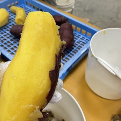 富永農園の干し芋バラ詰め1.8kg (有機JAS認定 紅はるか)