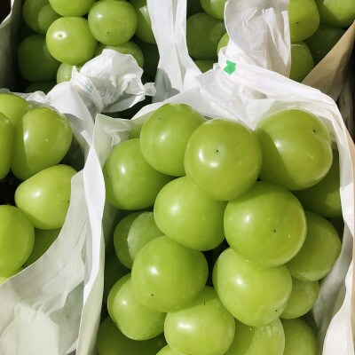 シャインマスカット 2kg