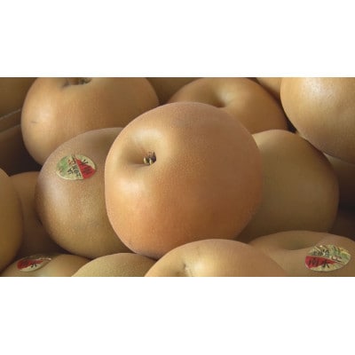 訳あり　南水梨 4kg