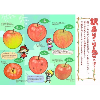 訳あり　紅玉 4.5kg