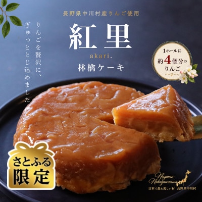 【さとふる限定】りんごのケーキ　紅里