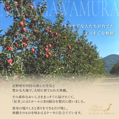 【さとふる限定】りんごのケーキ　紅里