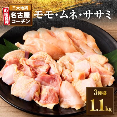 モモ ムネ ササミ 名古屋コーチン3種盛<1.1kg>大満足セット[001T03]