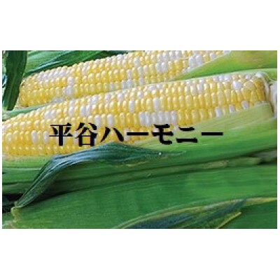 とうもろこし 平谷ハーモニー 平谷村産