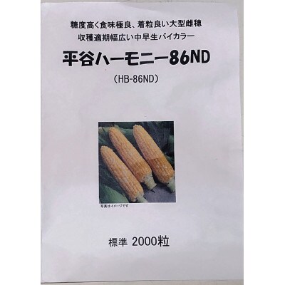 とうもろこし 平谷ハーモニー 平谷村産