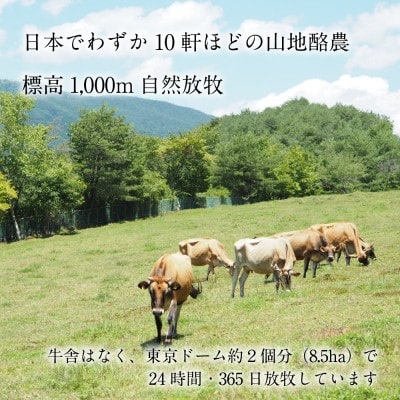 【放牧・ジャージー】ペアツリーファームのカップアイス《ピュアミルク・すもも 各3個》計6個セット