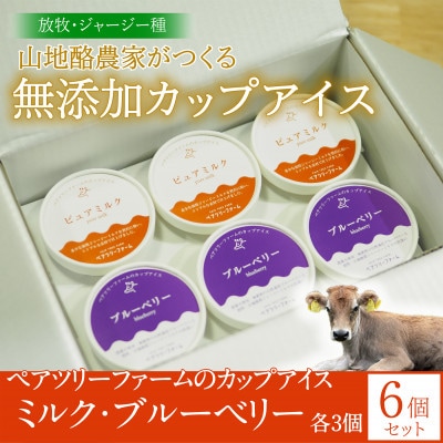 【放牧ジャージー】ペアツリーファームのカップアイス《ピュアミルク・ブルーベリー 各3個》計6個セット