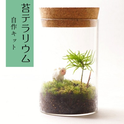 【南信州平谷村 高原の苔】直径65mm ミニサイズ 苔テラリウム制作キット ミニチュアセット