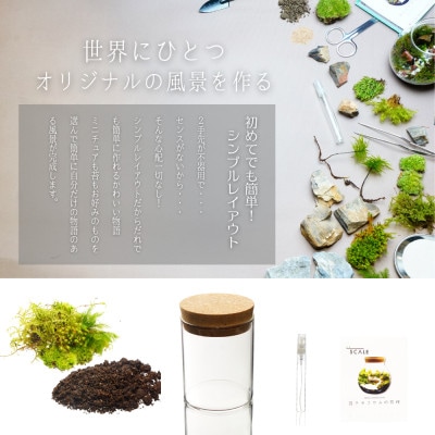 【南信州平谷村 高原の苔】直径65mm ミニサイズ 苔テラリウム制作キット ミニチュアセット