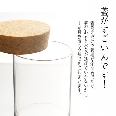 【南信州平谷村 高原の苔】直径65mm ミニサイズ 苔テラリウム制作キット ミニチュアセット