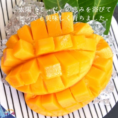 《先行予約》【家庭用】徳之島センチュリー果樹園さんの完熟マンゴー約2kg