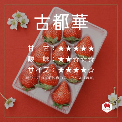 【早期予約限定】【3年連続奈良県知事賞受賞】古都華(ことか)Lサイズ×2パック 発送2月以降 いちご