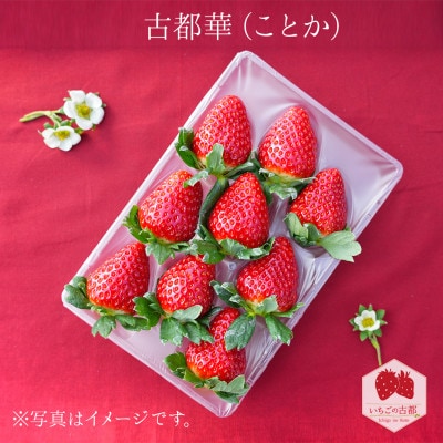 【早期予約限定】【3年連続奈良県知事賞受賞】古都華(ことか)3Lサイズ×2パック 2月以降発送　苺