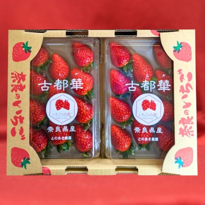 【早期予約限定】【3年連続奈良県知事賞受賞】古都華(ことか)3Lサイズ×2パック 2月以降発送　苺