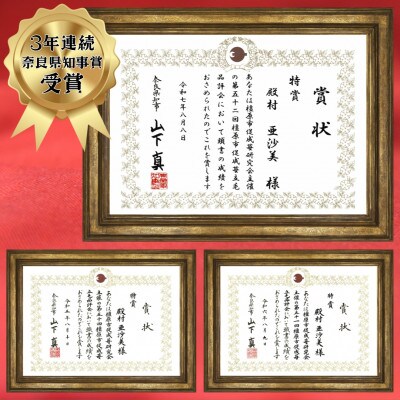 【先行予約限定】【3年連続奈良県知事賞】ギフトボックス:古都華3Lサイズ 2パック入り 2月以降発送