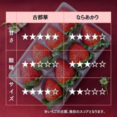 【先行予約限定】【3年連続奈良県知事賞】【食べ比べ】古都華1パック・ならあかり1パック 2月以降発送