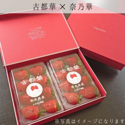 【先行予約限定】【奈良県知事賞】食べ比べギフトボックス:古都華1パック・奈乃華1パック 2月以降発送