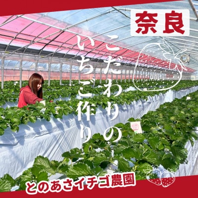 【先行予約限定】【奈良県知事賞】食べ比べギフトボックス:古都華1パック・奈乃華1パック 2月以降発送