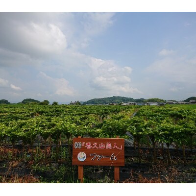こんにゃくと山菜水煮の詰合せ(秋冬)