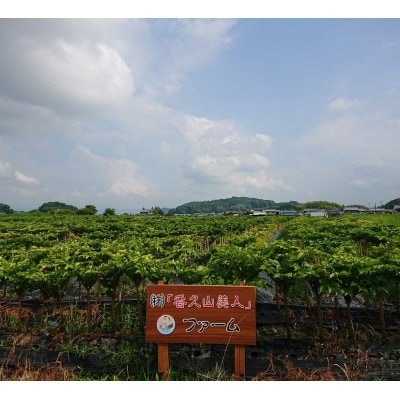 香久山美人の手造りこんにゃくこだわりセット(秋冬)