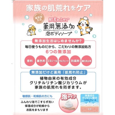 肌荒れを防ぐ薬用無添加　泡ボディソープ　詰替セット　6個入