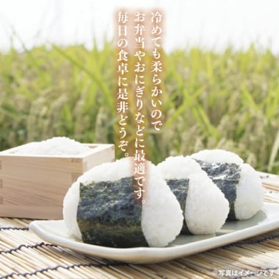 【新米】立神米こしひかり【5kg・白米・大子町産】令和7年産 谷田部農産|茨城県 大子産米