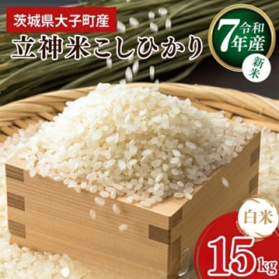 【新米】立神米こしひかり【15kg・白米・大子町産】令和7年産 谷田部農産|茨城県 大子産米