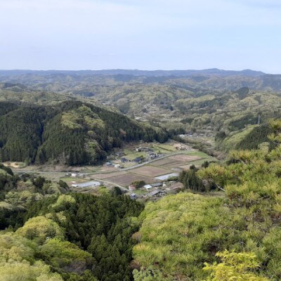 立神米こしひかり【大子町産・白米・15kg】
