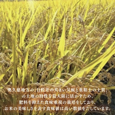 【新米】立神米こしひかり【15kg・白米・大子町産】令和7年産 谷田部農産|茨城県 大子産米