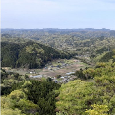 《数量限定》【コンテスト受賞米】立神米ゆうだい21【大子町産・白米・2kg】