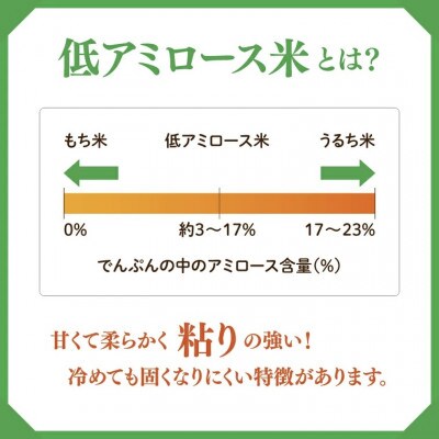 立神米 姫ごのみ【10kg・白米・大子町産】令和7年産 新米 谷田部農産|茨城県 大子町 大子産米