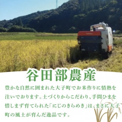 【新米】立神米にじのきらめき(大子町産・白米・5kg)令和7年産 谷田部農産|茨城県 大子産米