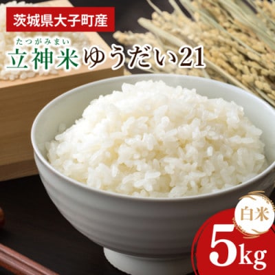 【金賞農家が栽培した家庭用米】立神米ゆうだい21(白米)5kg 令和8年産|茨城県大子町 谷田部農産