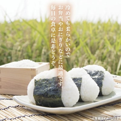 立神米ゆうだい21(白米)5kg 令和7年産 新米【谷田部農産】産地直送