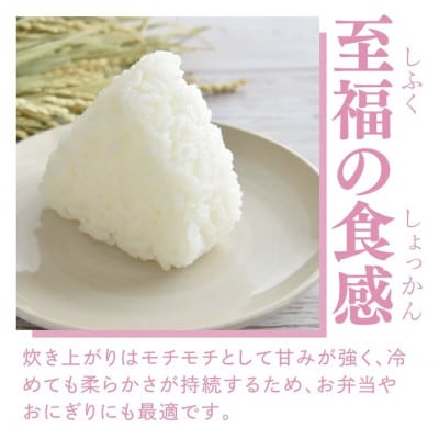 【栽培期間中の農薬不使用栽培】立神米こしひかり 白米 計5kg|茨城県 大子町 谷田部農産