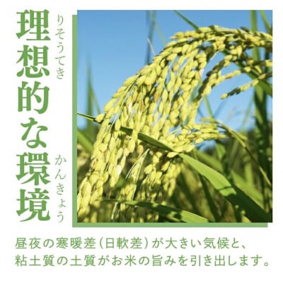【栽培期間中の農薬不使用栽培】立神米こしひかり 白米 計5kg|茨城県 大子町 谷田部農産