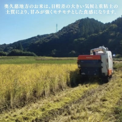 【毎月定期便】立神米 ゆうだい21(白米)5kg|茨城県 大子町全6回