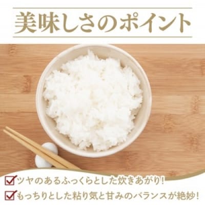 【毎月定期便】立神米にじのきらめき(白米・5kg) 谷田部農産　茨城県　大子町全3回