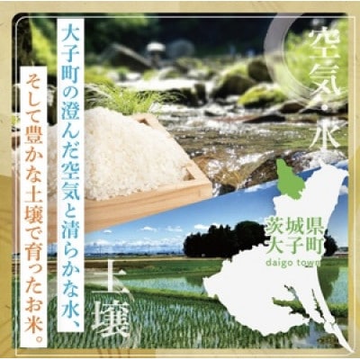 【毎月定期便】立神米にじのきらめき(白米・5kg) 谷田部農産　茨城県　大子町全3回