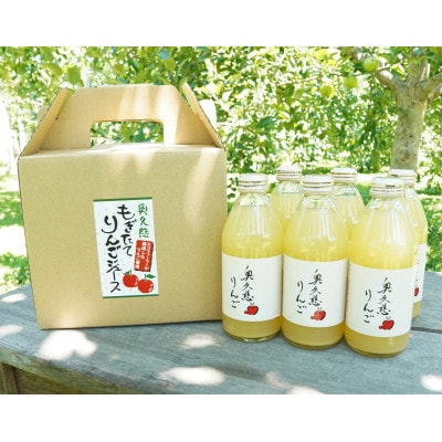 斉藤りんご園の奥久慈りんごジュース(ストレート)250ml×6本セット(化粧箱入り)