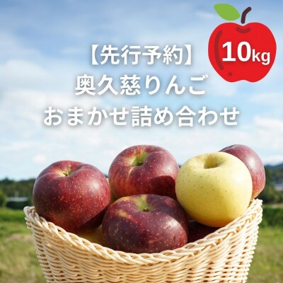 【2025年10月より順次発送】【先行受付】樹上完熟の奥久慈りんご詰め合わせ 園主おまかせ約10kg