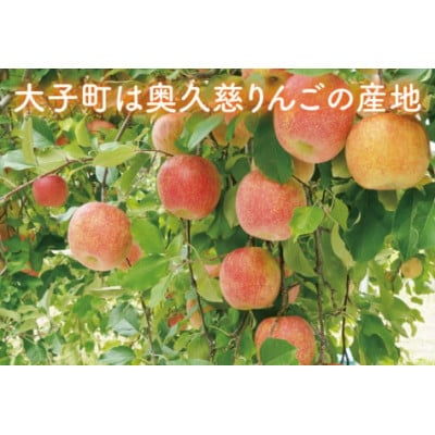 【先行予約・数量限定】樹上完熟の奥久慈りんご「サンふじ」約5kg(12～23玉)|茨城県 大子町