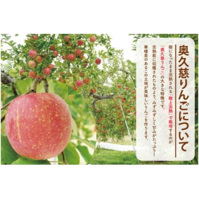 【先行予約・数量限定】樹上完熟の奥久慈りんご「サンふじ」約5kg(12～23玉)|茨城県 大子町
