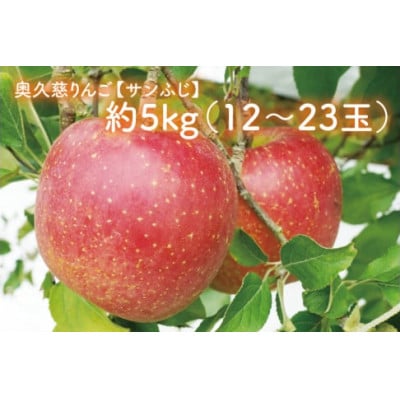 【先行予約・数量限定】樹上完熟の奥久慈りんご「サンふじ」約5kg(12～23玉)|茨城県 大子町