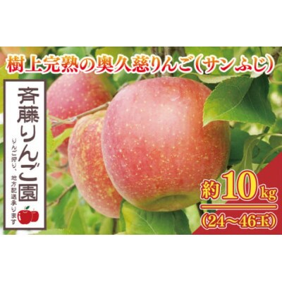【先行予約・数量限定】樹上完熟の奥久慈りんご「サンふじ」約10kg(24～46玉)|茨城県 大子町