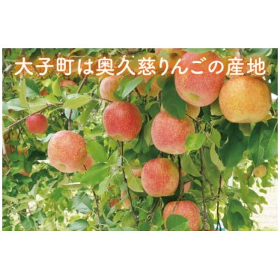 【先行予約・数量限定】樹上完熟の奥久慈りんご「サンふじ」約10kg(24～46玉)|茨城県 大子町