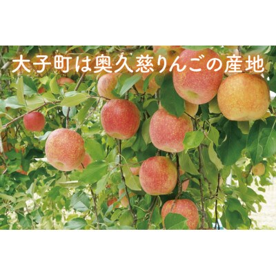 【訳あり】【数量限定】樹上完熟の奥久慈りんご(サンふじ)約3kg(6～13玉)家庭用