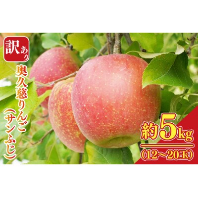 【訳あり】【数量限定】樹上完熟の奥久慈りんご(サンふじ)約5kg(12～20玉)家庭用