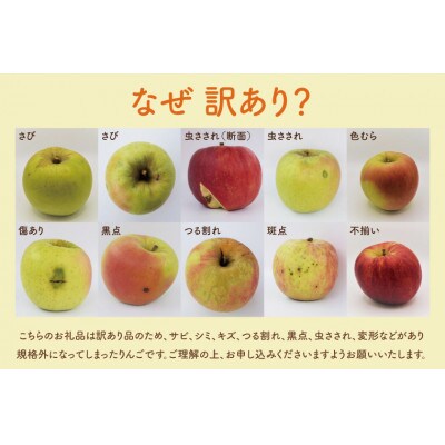 【訳あり】【数量限定】樹上完熟の奥久慈りんご(サンふじ)約5kg(12～20玉)家庭用