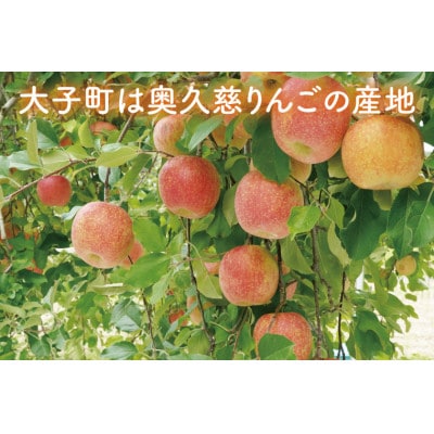【訳あり】【数量限定】樹上完熟の奥久慈りんご(サンふじ)約5kg(12～20玉)家庭用